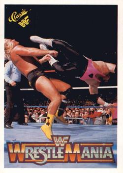 Bret "Hitman" Hart / Greg "The Hammer" Valentine 