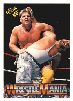 Bushwhackers / Rougeau Brothers 
