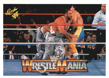 Bushwhackers / Rougeau Brothers 
