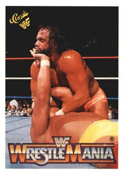 Hulk Hogan / "Macho Man" Randy Savage 