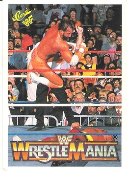 Hulk Hogan / Macho Man Randy Savage 