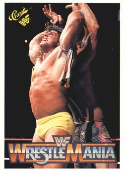 "Ravishing" Rick Rude / Ultimate Warrior 