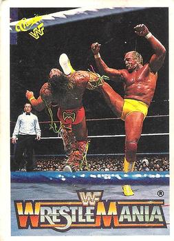 Hulk Hogan / Ultimate Warrior 