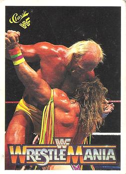 Hulk Hogan / Ultimate Warrior 