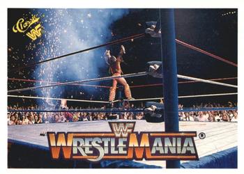 The Ultimate Warrior