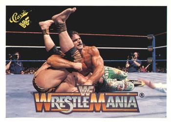 "Ravishing" Rick Rude / "Superfly" Jimmy Snuka 