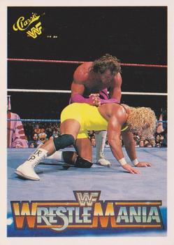 Brutus "The Barber" Beefcake / Mr. Perfect 