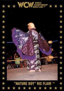 Nature Boy Ric Flair