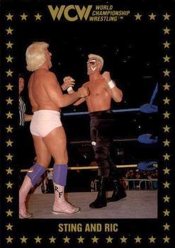 Sting and Ric