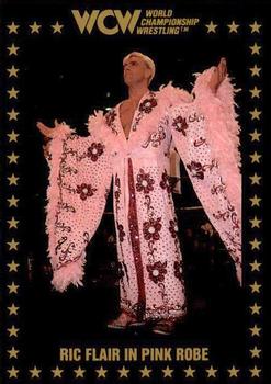 Ric Flair in Pink Robe 