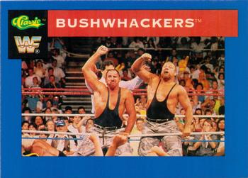Bushwhackers