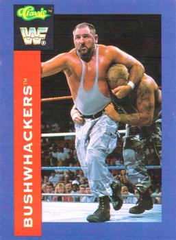Bushwhackers