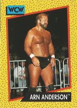 Arn Anderson