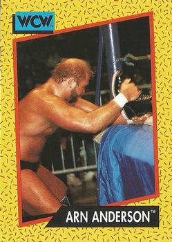Arn Anderson