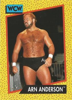 Arn Anderson