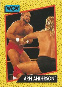 Arn Anderson