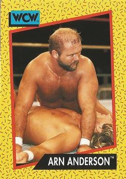 Arn Anderson