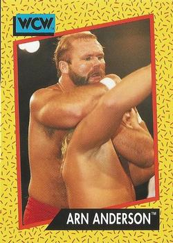 Arn Anderson