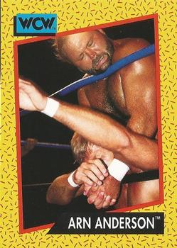 Arn Anderson