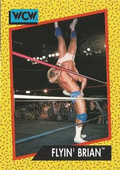 Flyin' Brian