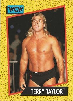 Terry Taylor