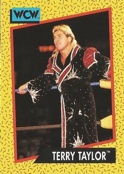 Terry Taylor