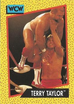 Terry Taylor