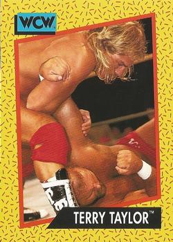 Terry Taylor
