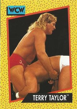 Terry Taylor