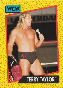 Terry Taylor