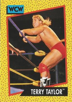 Terry Taylor