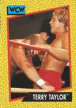 Terry Taylor