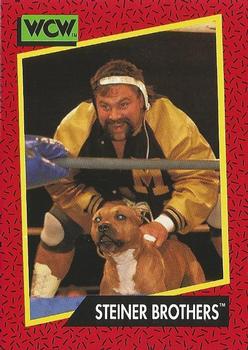 Steiner Brothers