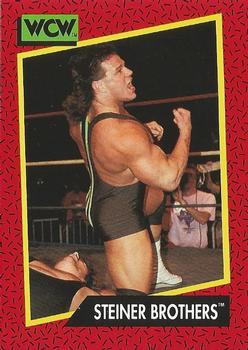 Steiner Brothers