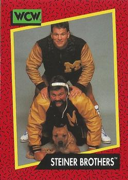 Steiner Brothers