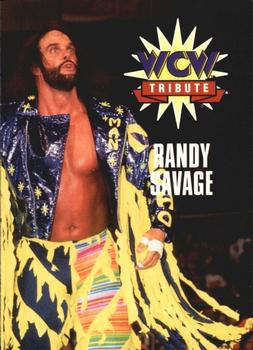 Macho Man Randy Savage