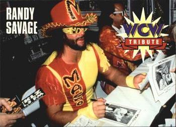 Macho Man Randy Savage