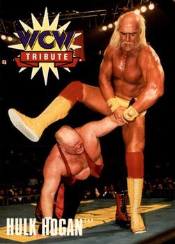 Hulk Hogan