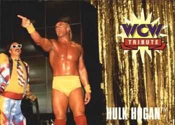 Hulk Hogan