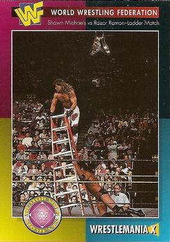 WrestleMania X (Michaels vs Ramon-Ladder Match)