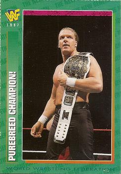 Purebreed Champion!