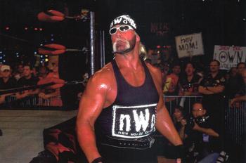 Hollywood Hogan