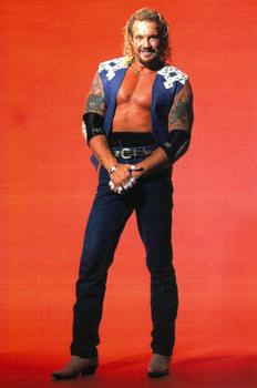 Diamond Dallas Page