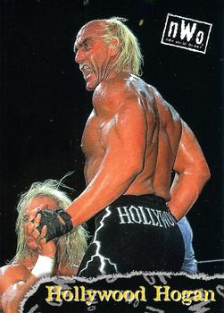 Hollywood Hogan