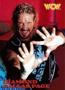 Diamond Dallas Page