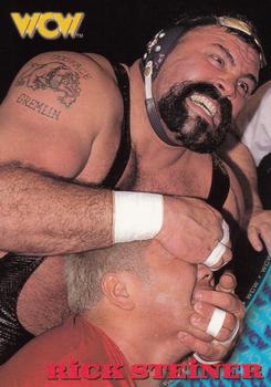 Rick Steiner