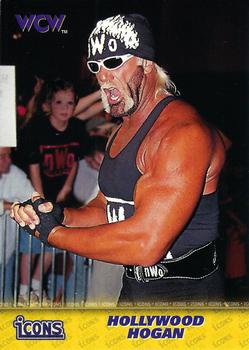 Hollywood Hogan