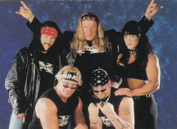 D-Generation X