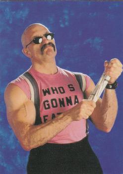 Paul Ellering