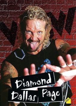 Diamond Dallas Page